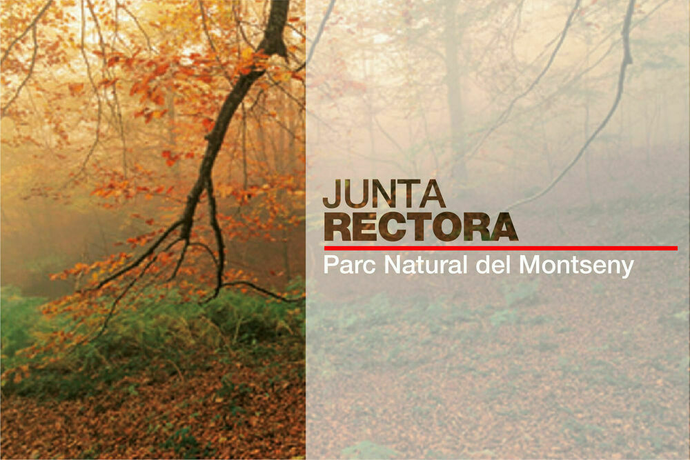 Imagen para los medios: Grup de Treball de Tallers per a la ciutadania